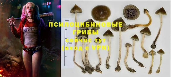 герыч Гусиноозёрск