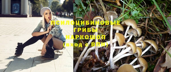 меф Гусев