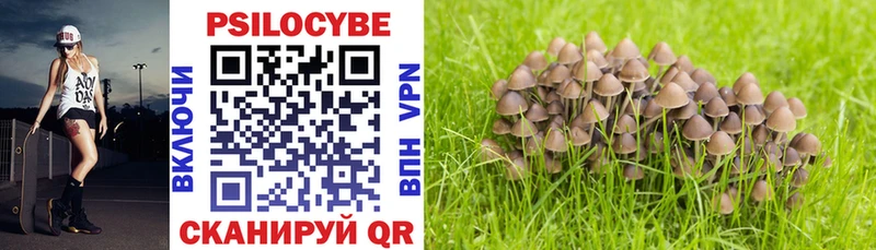 Галлюциногенные грибы GOLDEN TEACHER  Купить  Кумертау 